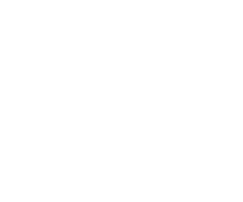 Painter.tr Logo